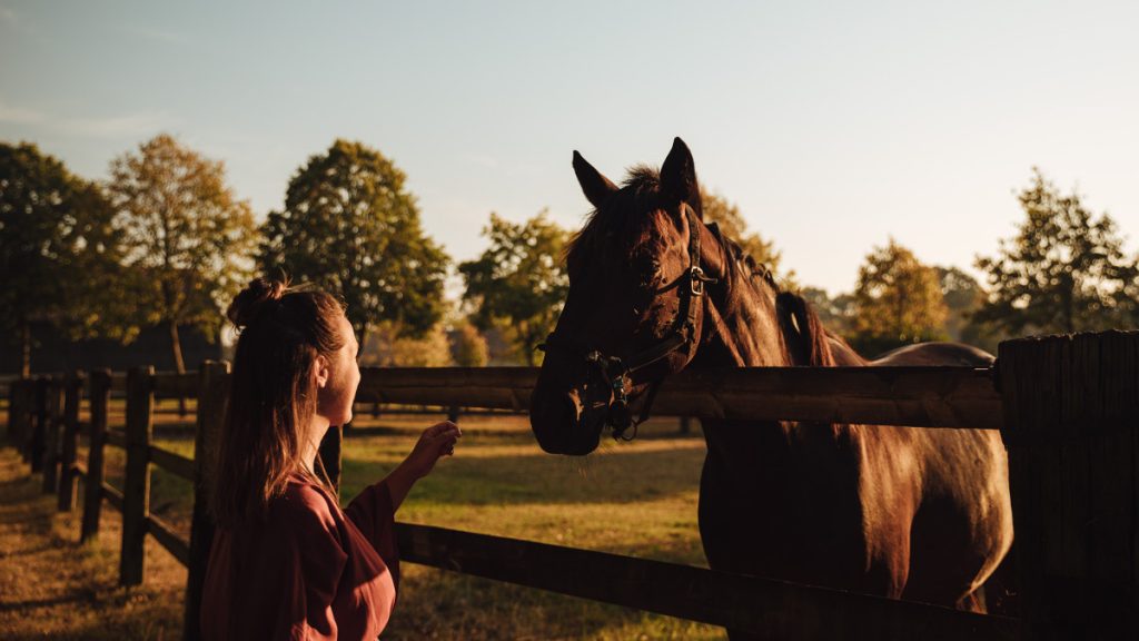 Femme avec un cheval au Manoir de sens