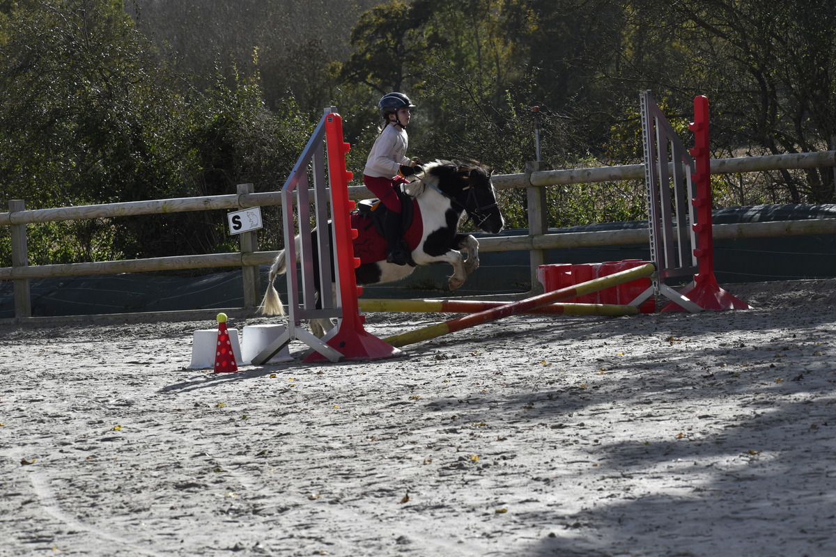 Equestrian centre Les Picotains