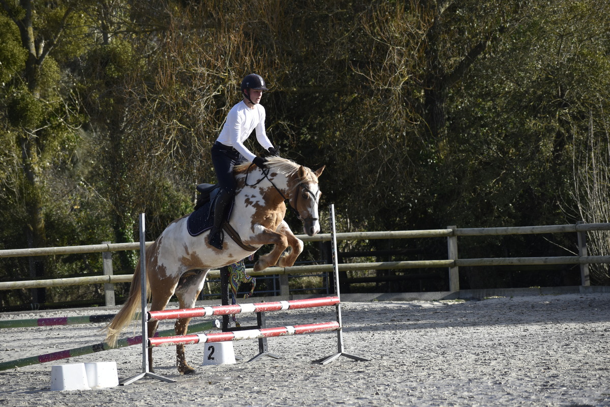 Equestrian centre Les Picotains