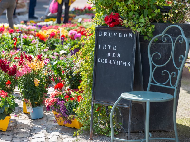 Fête des Géraniums et de la nature Le 5 mai 2024