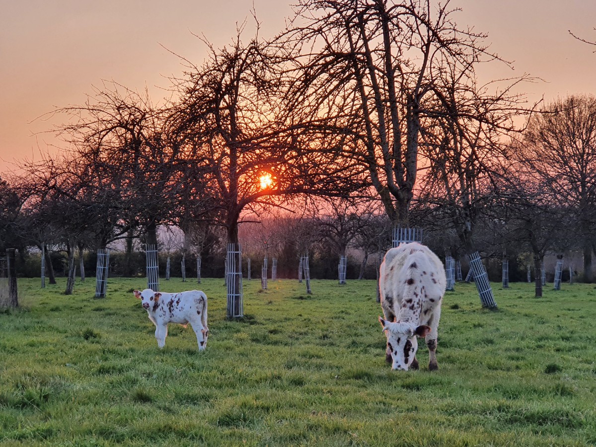 Tanneur Valley-boerderij