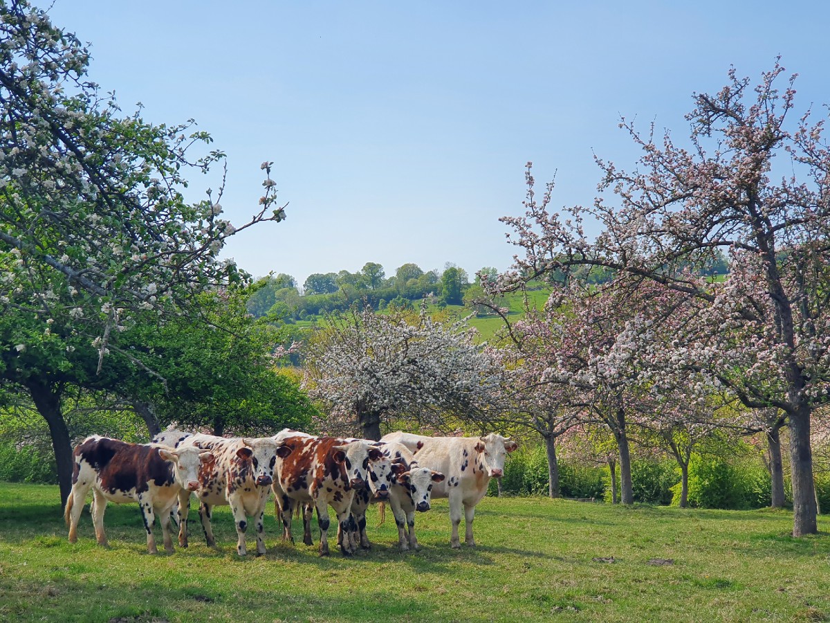 Tanneur Valley-boerderij