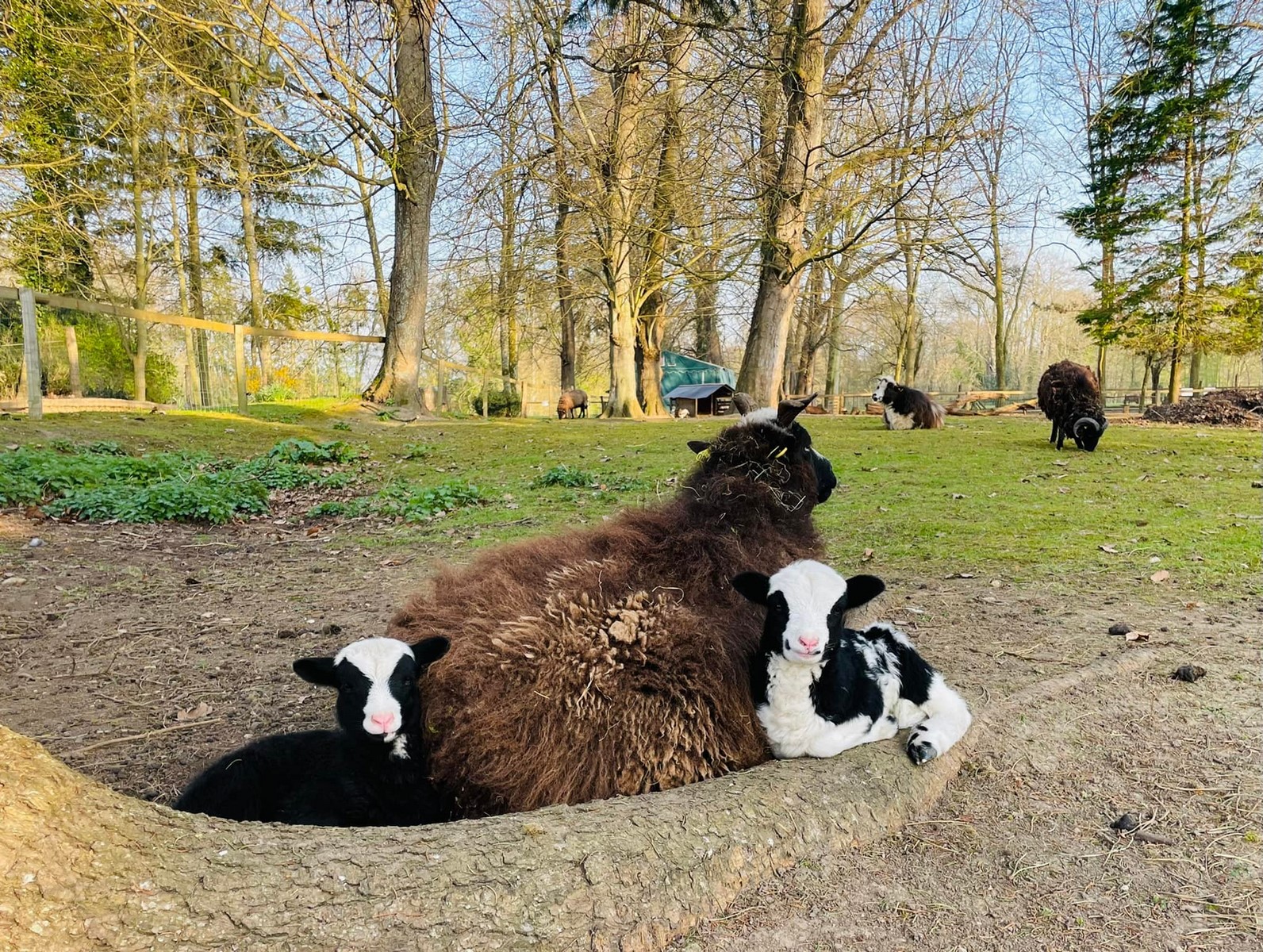 Le Domaine de Ouezy (educational farm)
