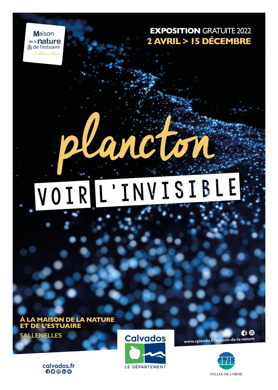 Exposition « Plancton, voir l’invisible »