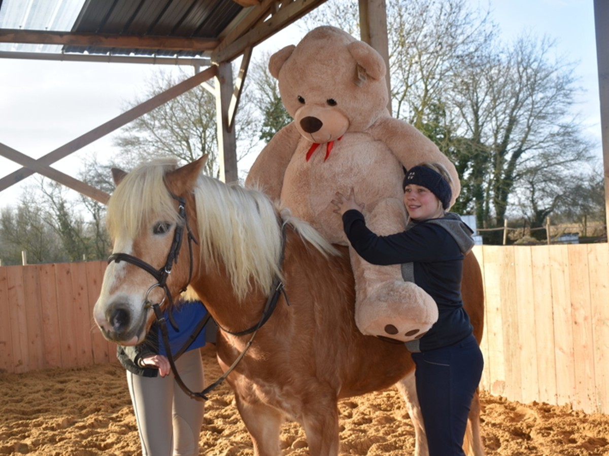 Equestrian centre Les Picotains