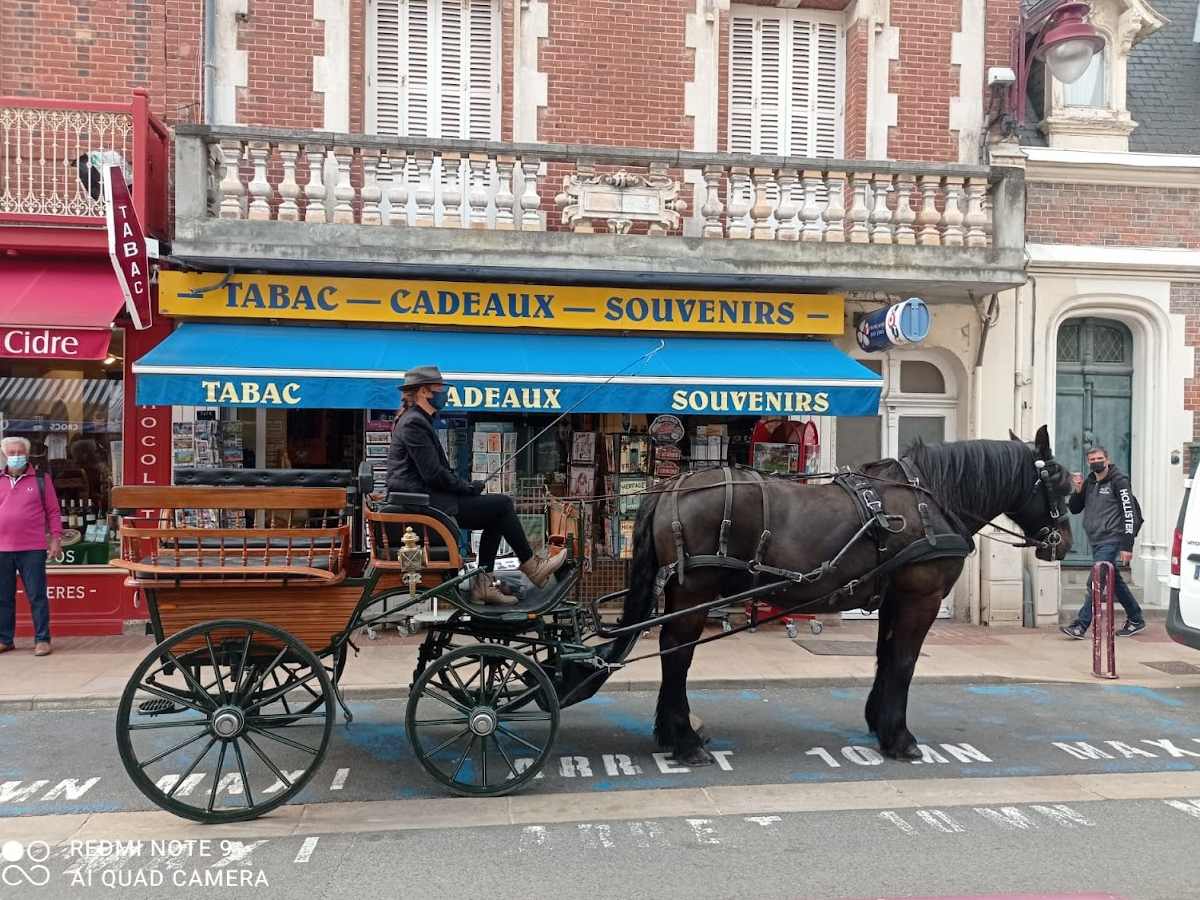 Charly Mobile – Carriage rides