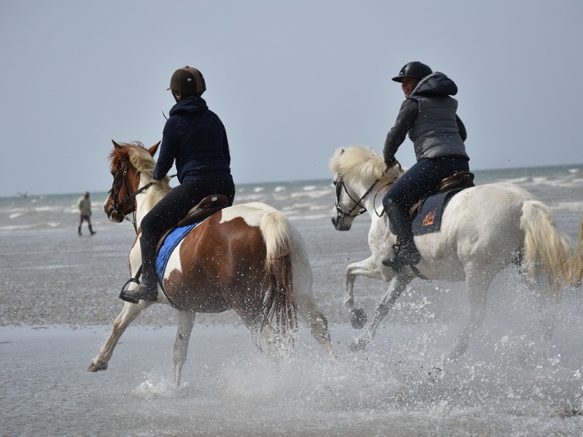 Equestrian centre Les Picotains