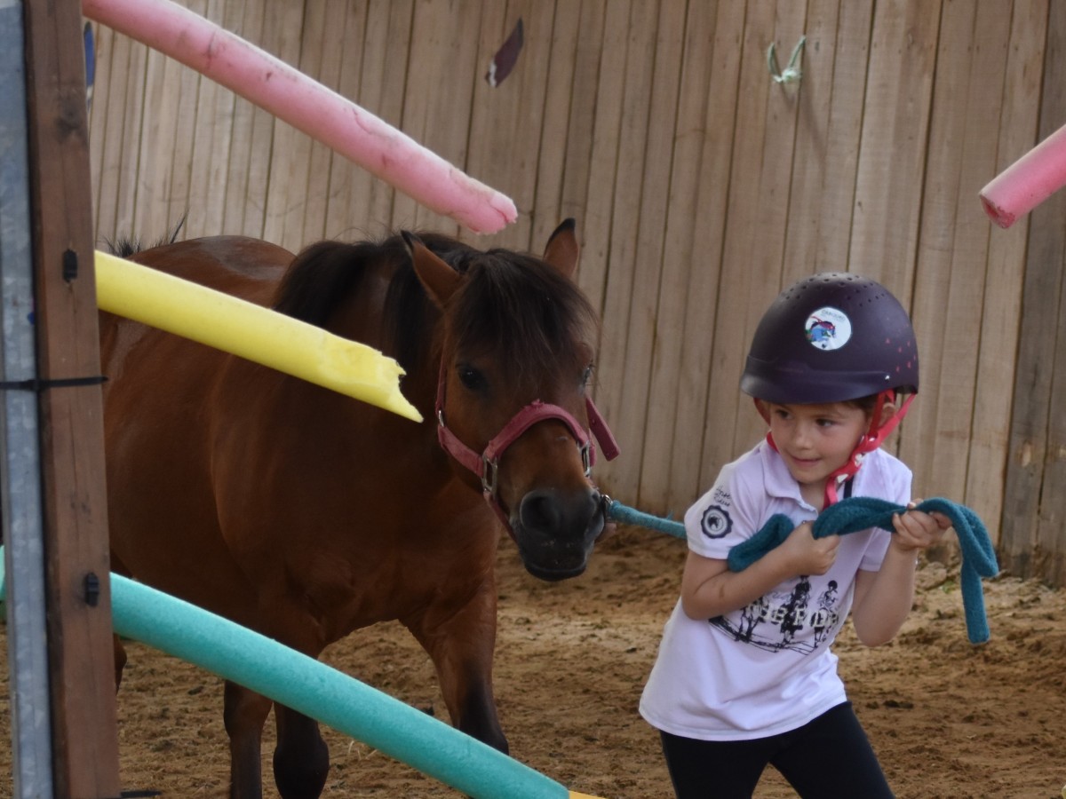 Equestrian centre Les Picotains