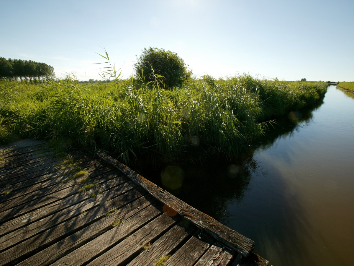 Guided bike tour through the marshes - J'aime mon vélo