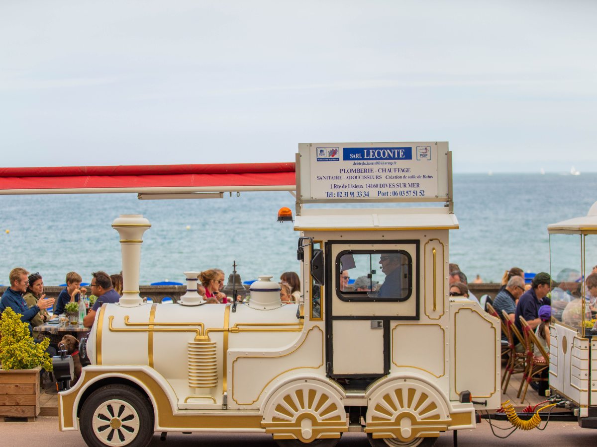 Tourist mini-train