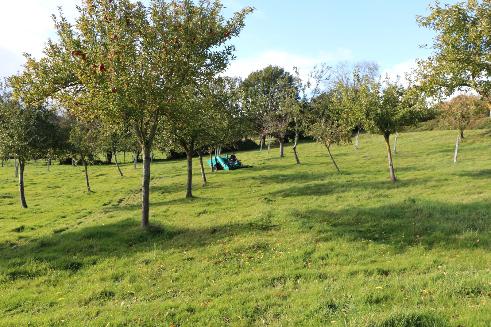 Ferme de Cavelande
