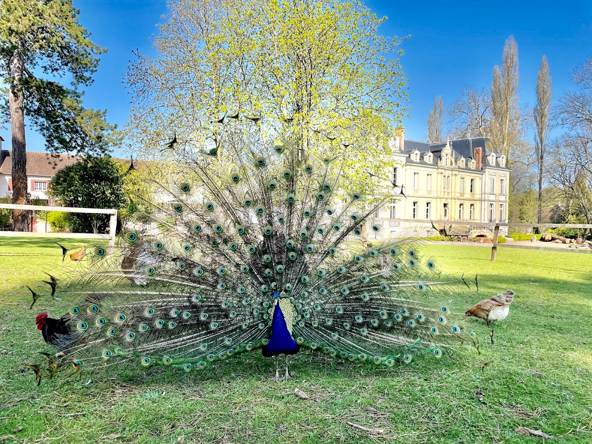 Le Domaine de Ouezy (educational farm)
