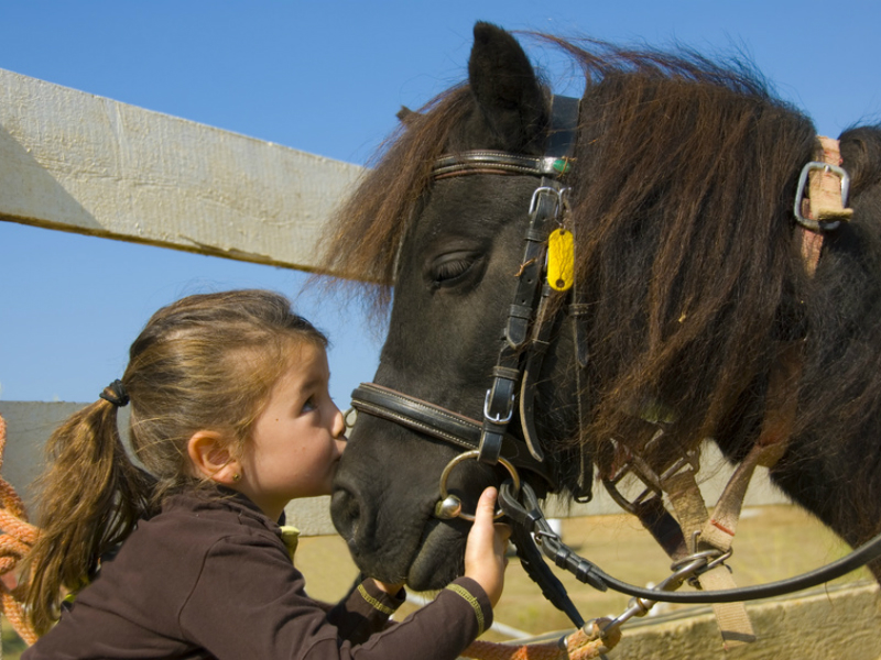 Cabourg Equestrian Pole – La Sablonnière