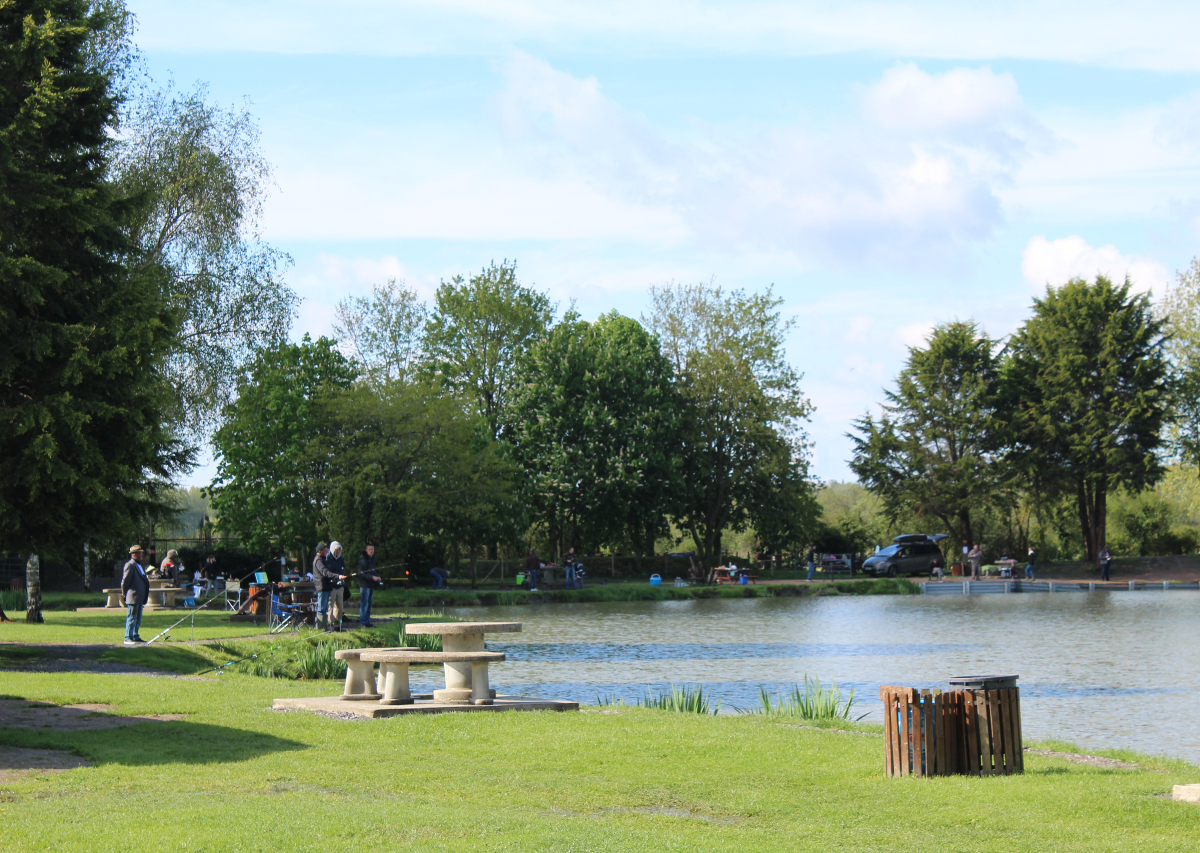 Etang du Colvert