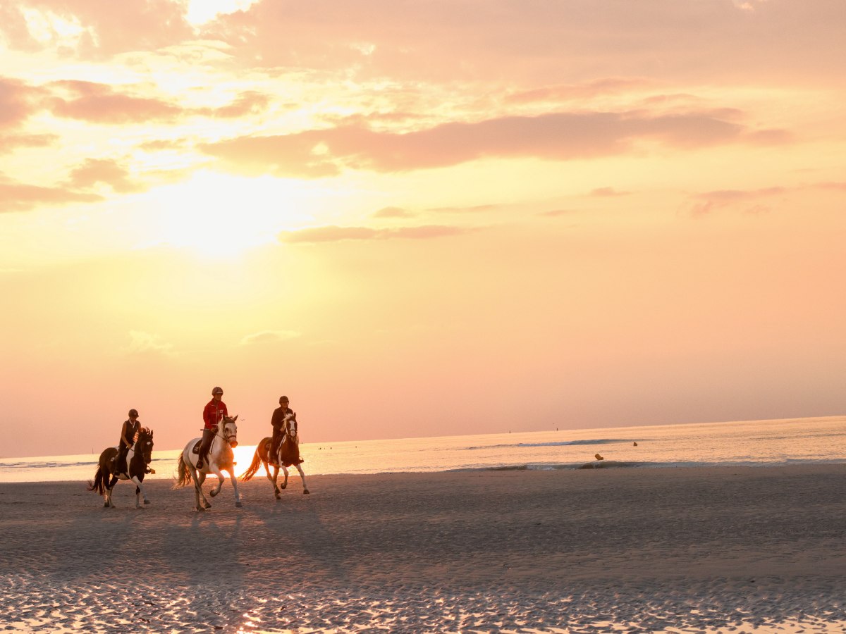 Cabourg Le Hôme pony club