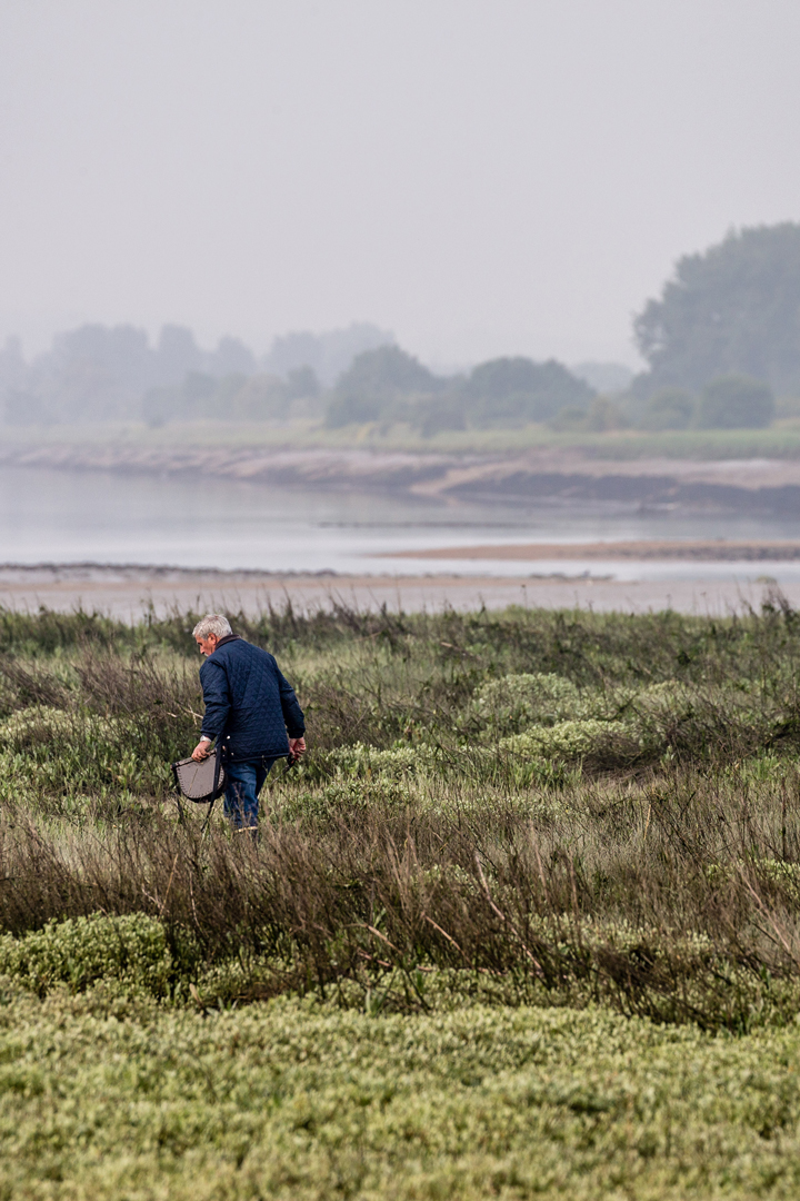 L’estuaire de l’Orne