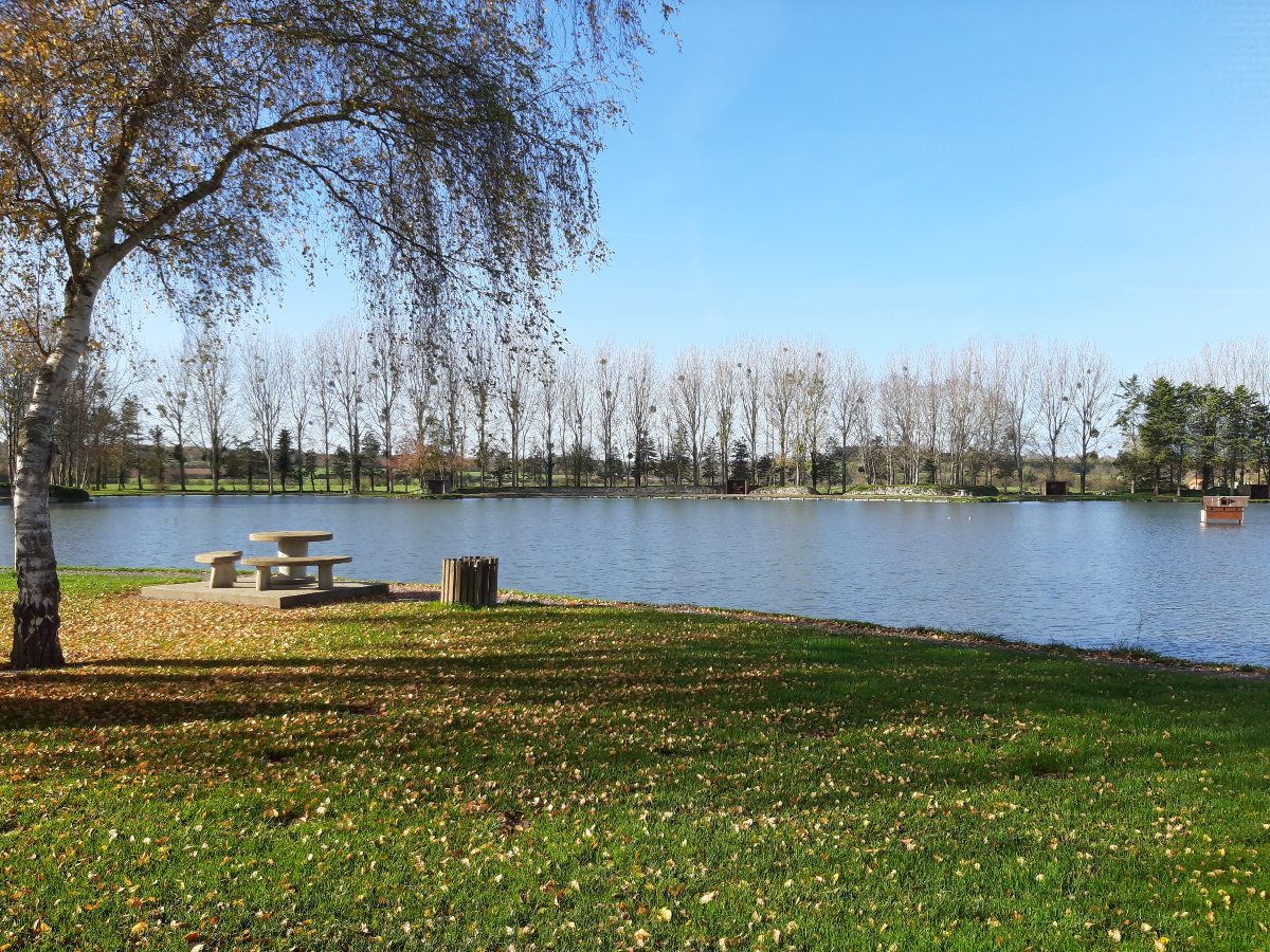 Etang du Colvert