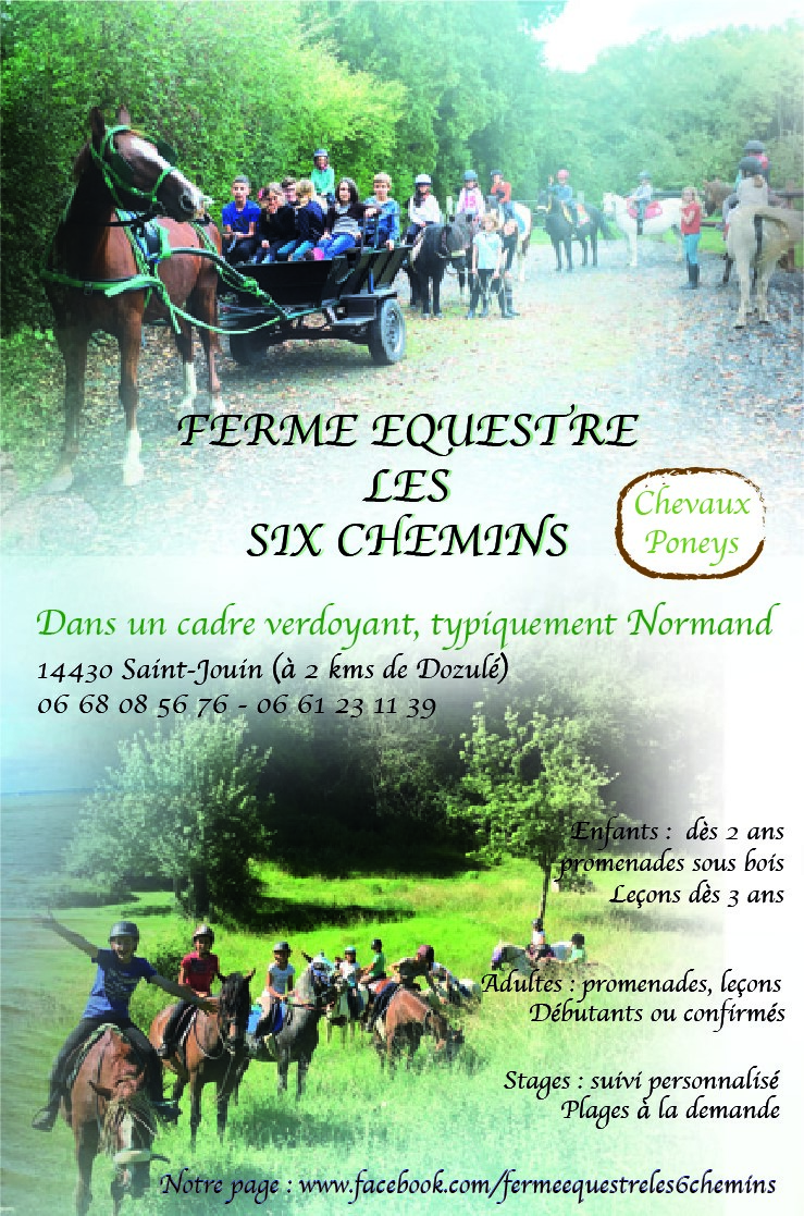 Horse farm Les six chemins